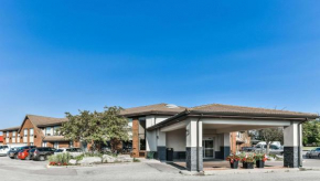 Comfort Inn
